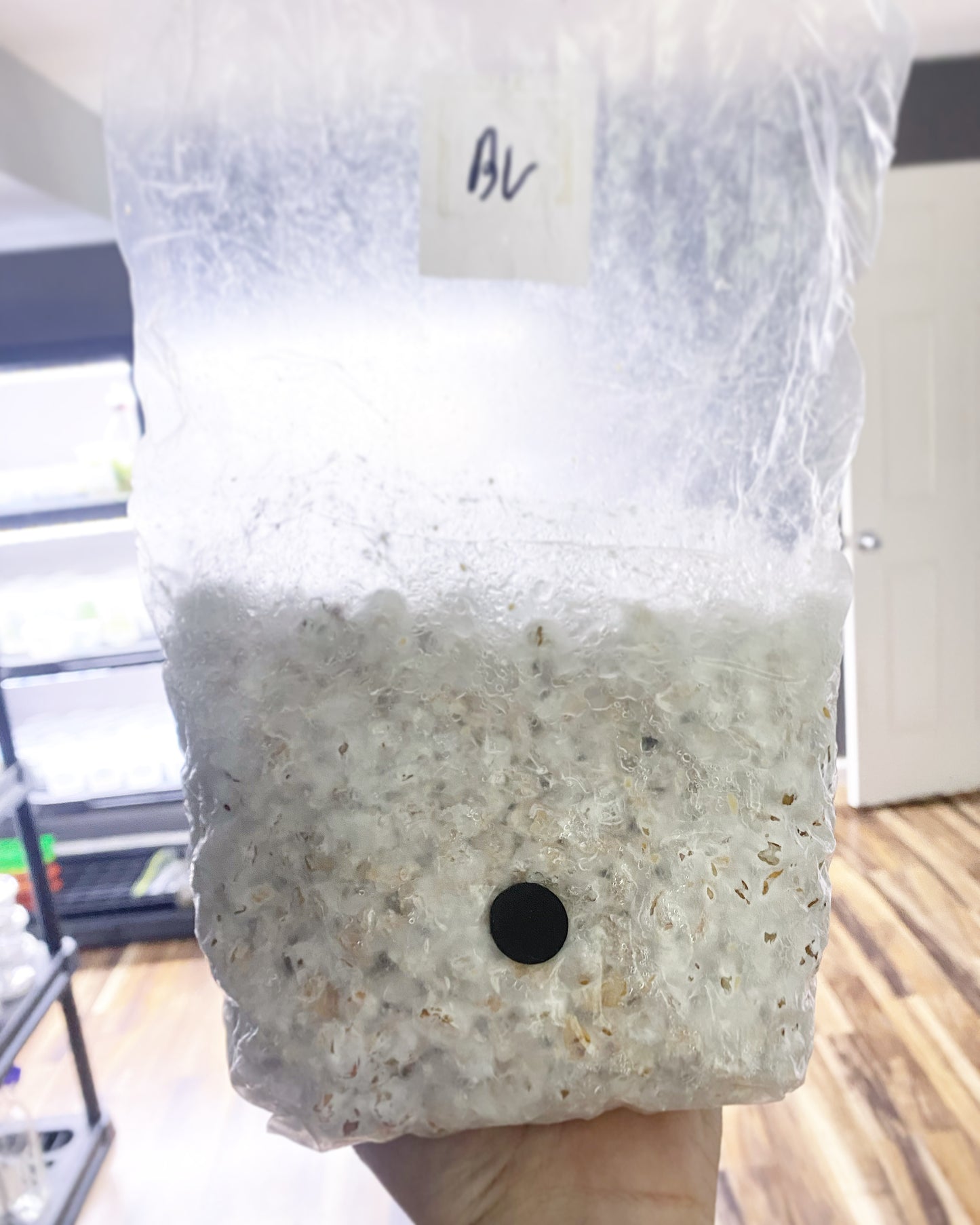 Colonized Bag 3lb BV