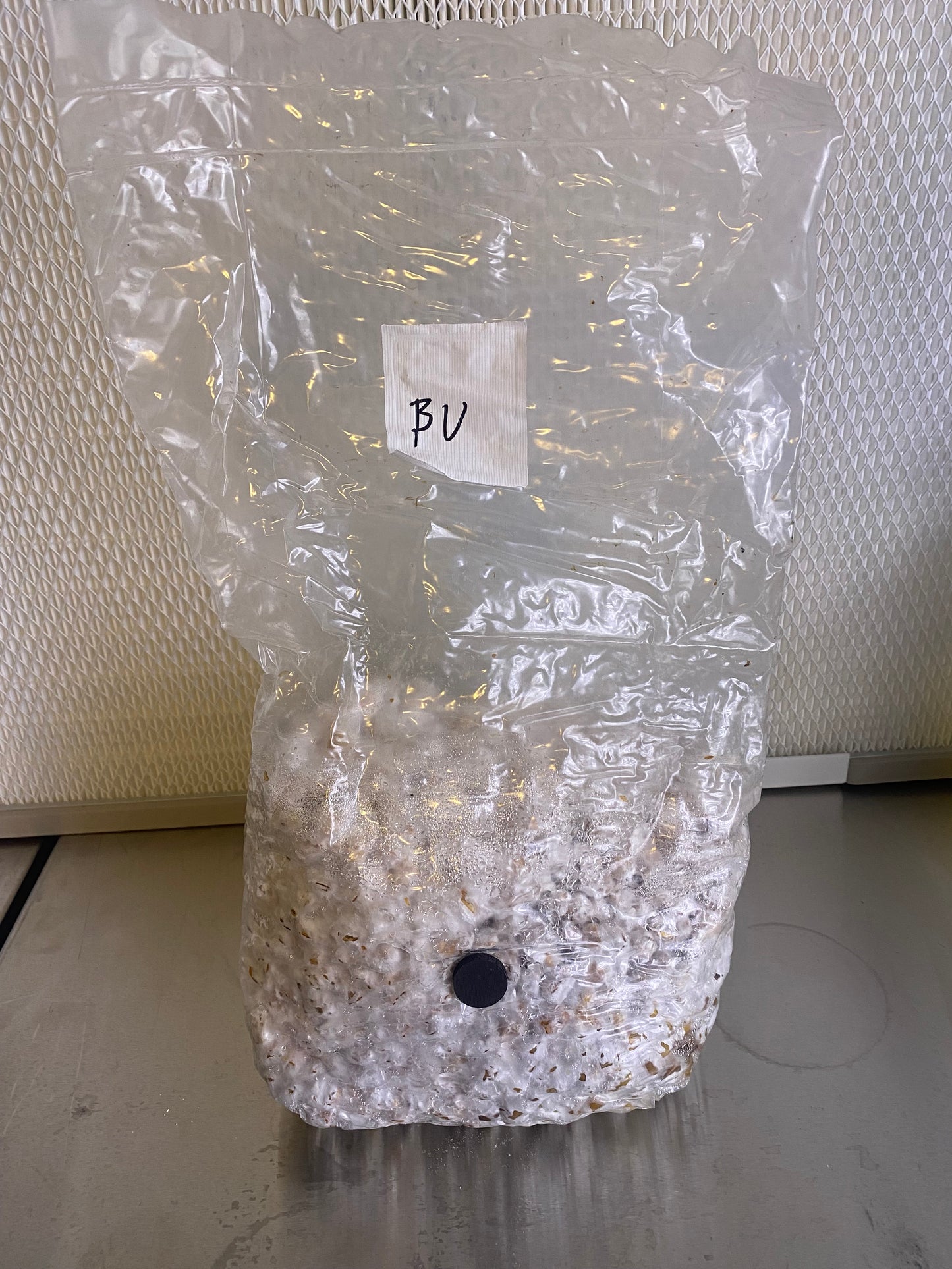 Colonized Bag 3lb BV